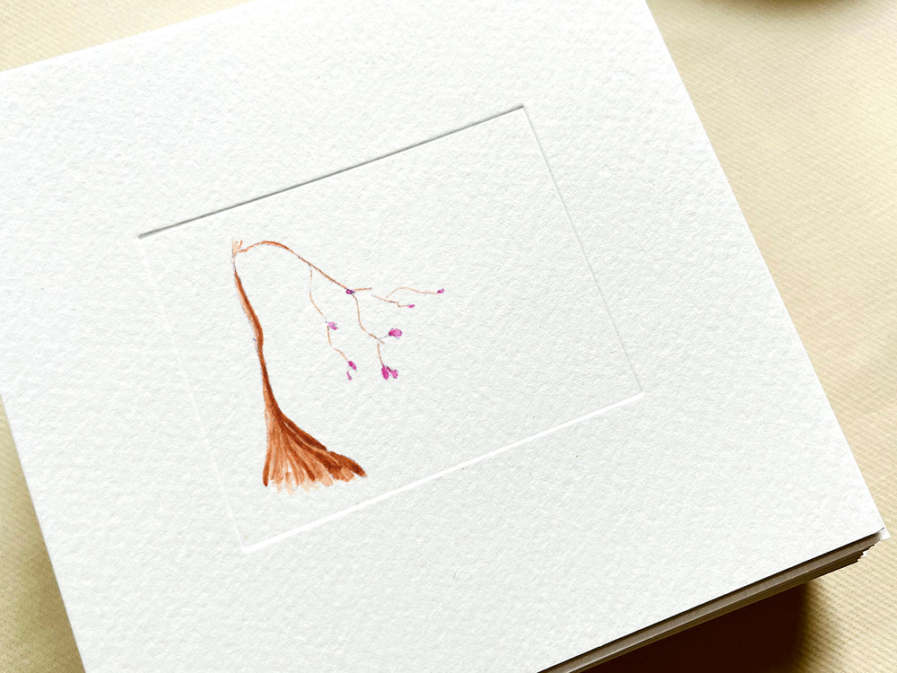 Haiku Spring